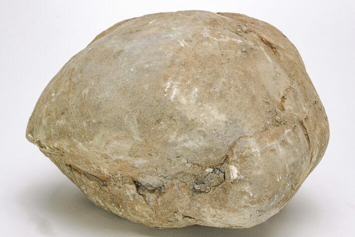 Unbroken Septarian Nodule - Utah #204026